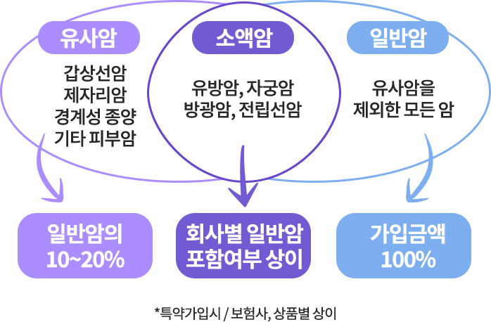 보험 유형별 설명